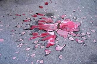 Sarajevo Roses* – Terror in 12 Pictures (2012) - 55 min